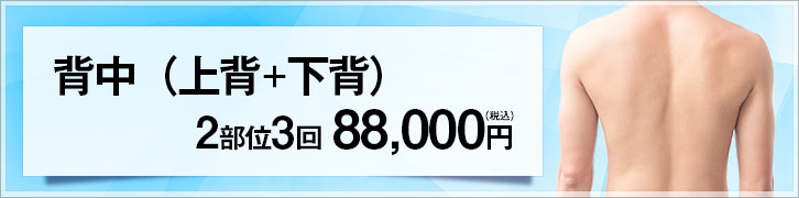 メンズ医療脱毛コース / 背中（上背＋下背）3回 80,000円（税別）